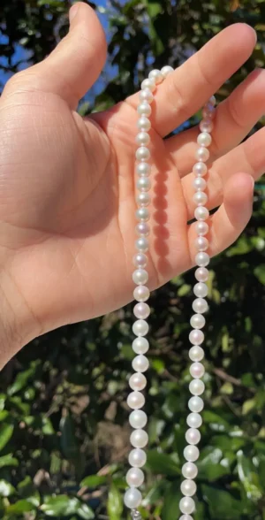 Japanese Akoya Pearl Necklace